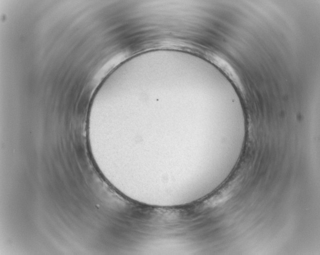 X0000088170954200706051113