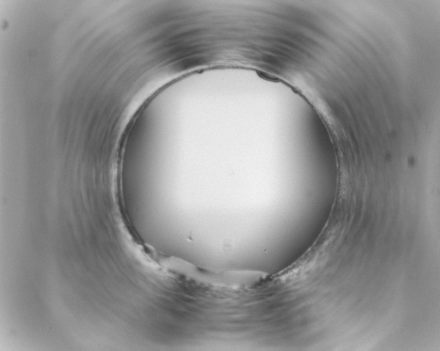 X0000088170955200706051113