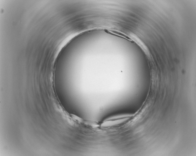 X0000088170956200706051113