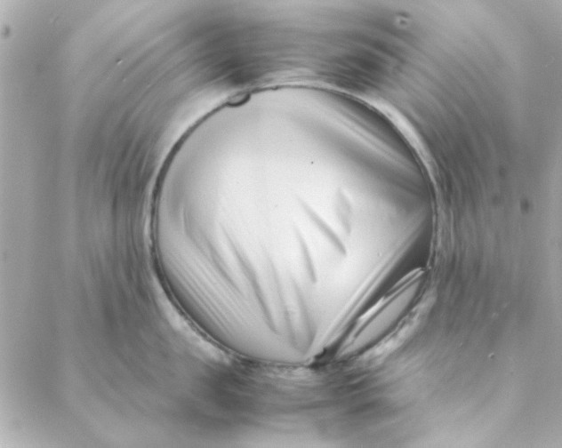 X0000088170957200706051113