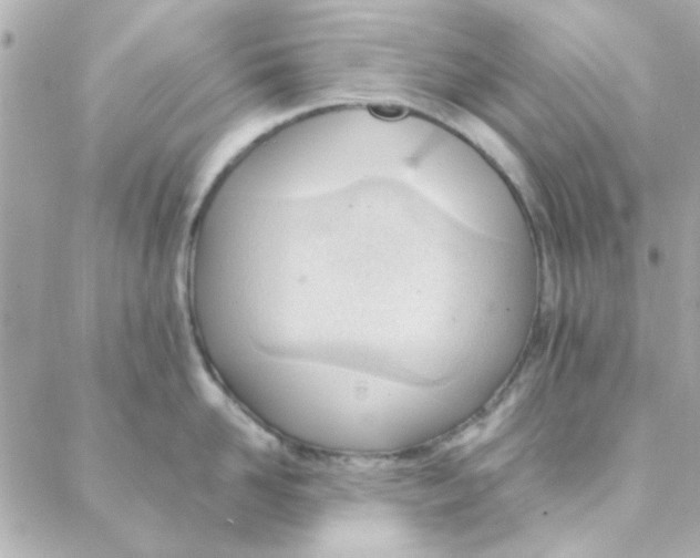 X0000088170958200706051113