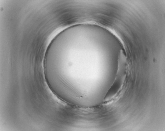 X0000088170959200706051113