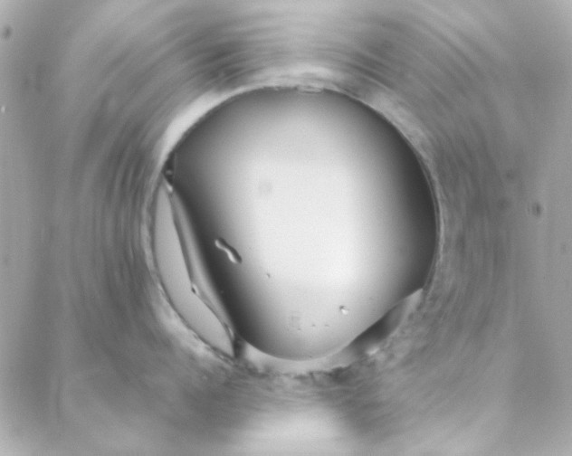 X0000088170960200706051113