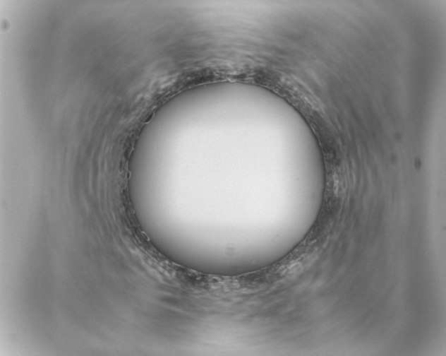 X0000088170961200706051112