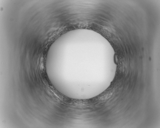 X0000088170962200706051112