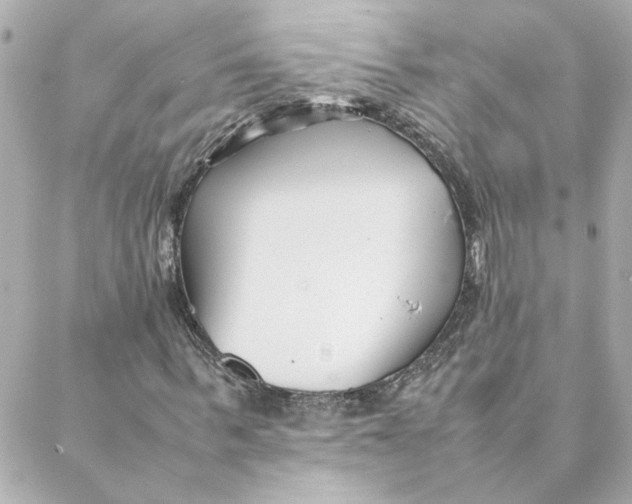 X0000088170963200706051112