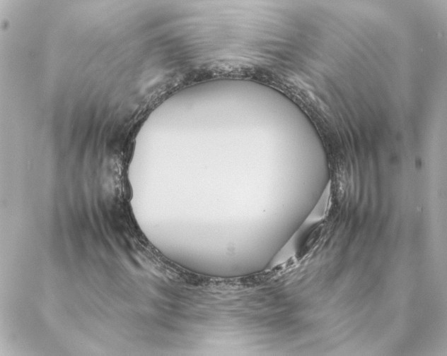 X0000088170964200706051112