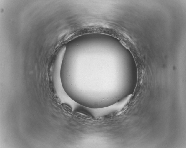 X0000088170965200706051112