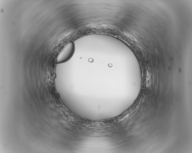 X0000088170966200706051112