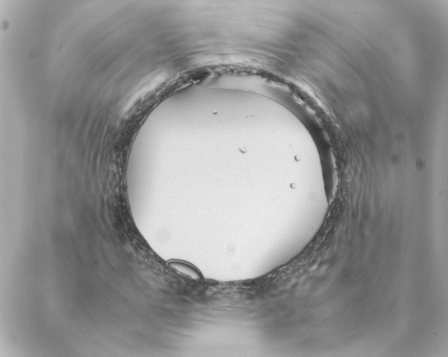 X0000088170967200706051112