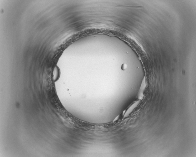 X0000088170968200706051112