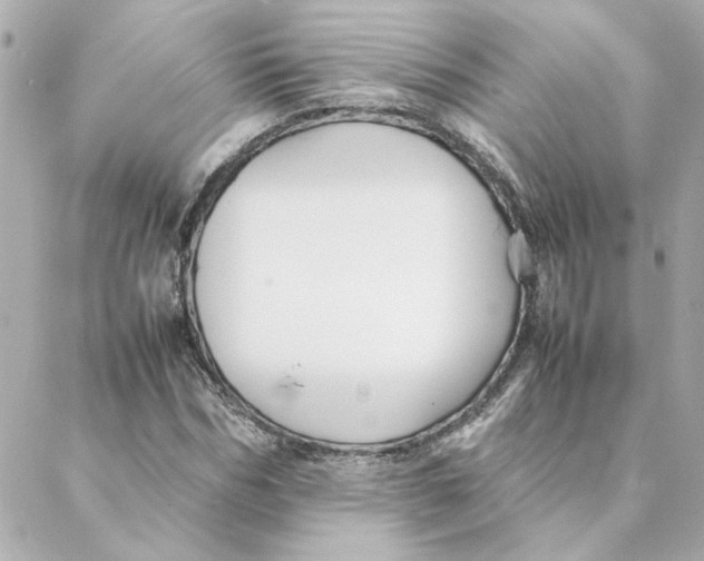 X0000088170970200706051112