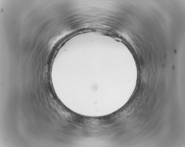 X0000088170971200706051112