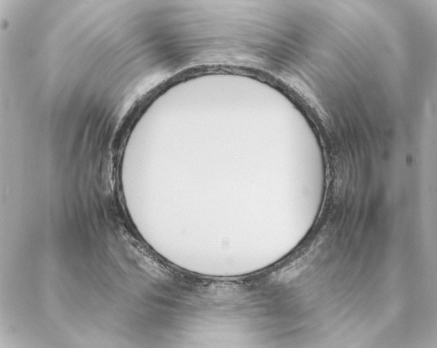 X0000088170974200706051112