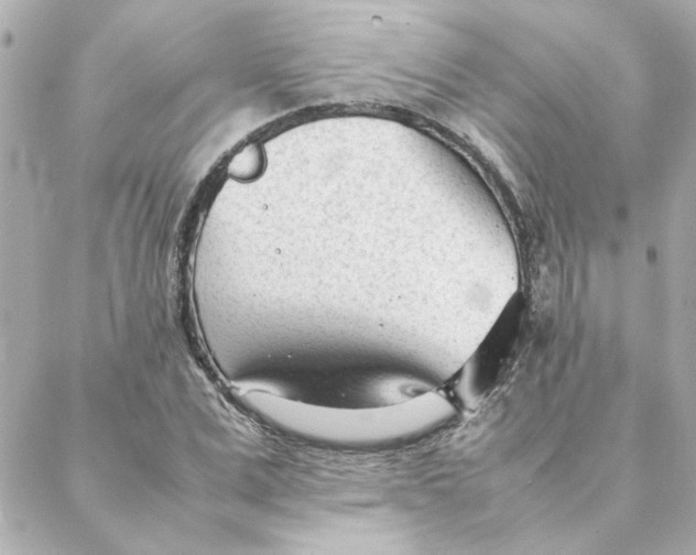 X0000088170975200706051112