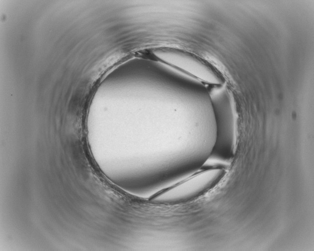 X0000088170977200706051112