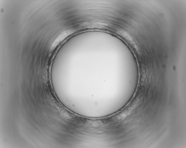 X0000088170978200706051112