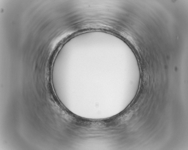 X0000088170979200706051112