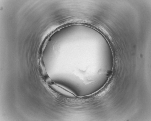 X0000088170981200706051112