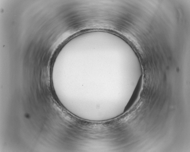 X0000088170982200706051112