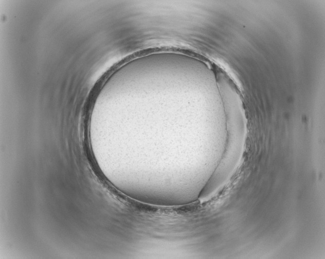 X0000088170983200706051112