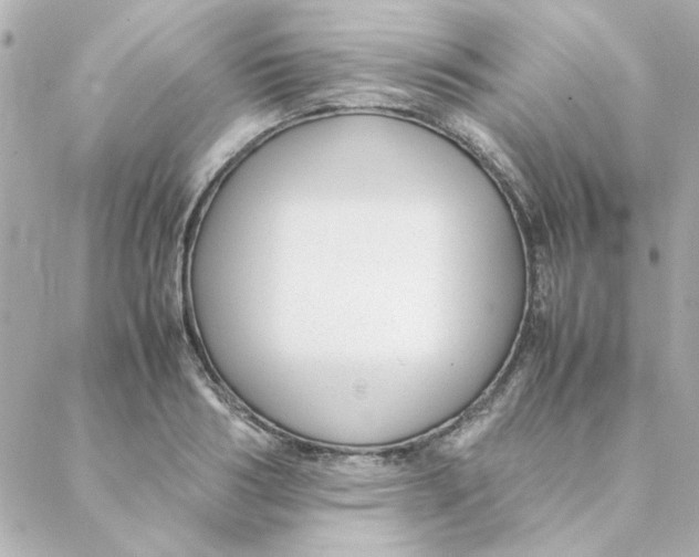 X0000088170986200706051112