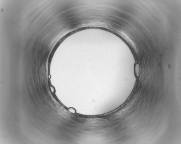 X0000088170988200706051112