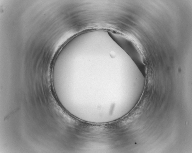 X0000088170990200706051112