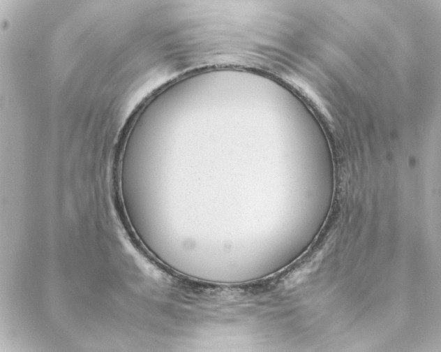 X0000088170991200706051112