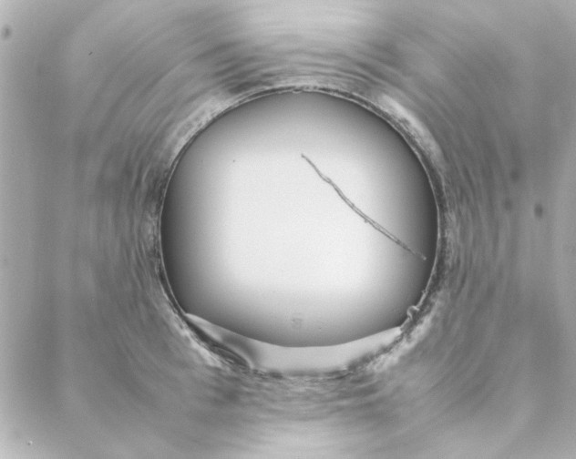 X0000088170993200706051112