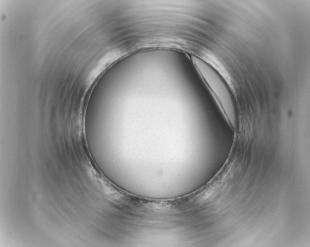 X0000088170994200706051112