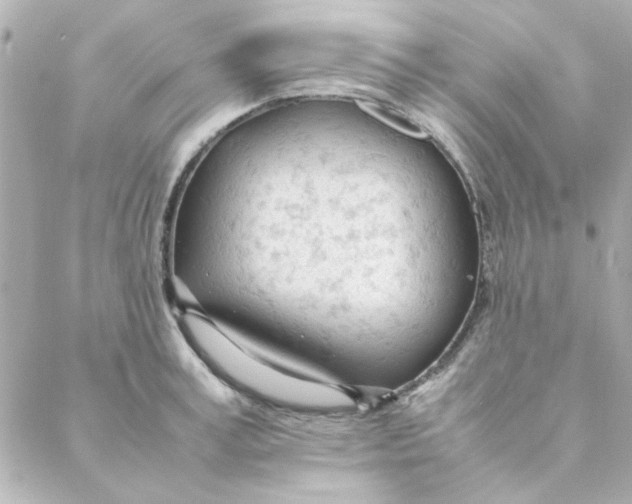 X0000088170995200706051112