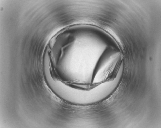 X0000088170996200706051112