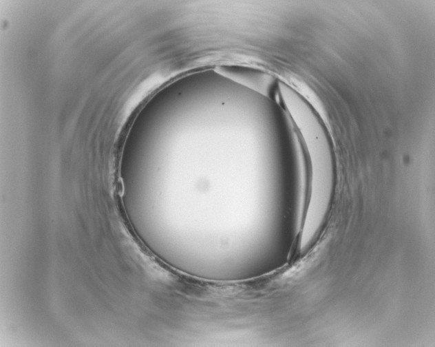 X0000088170997200706051112