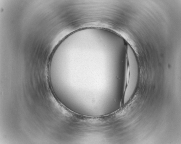 X0000088170998200706051112