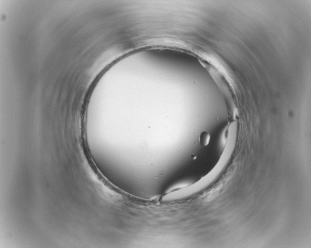 X0000088170999200706051112