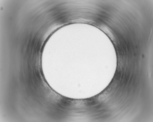 X0000088171000200706051112