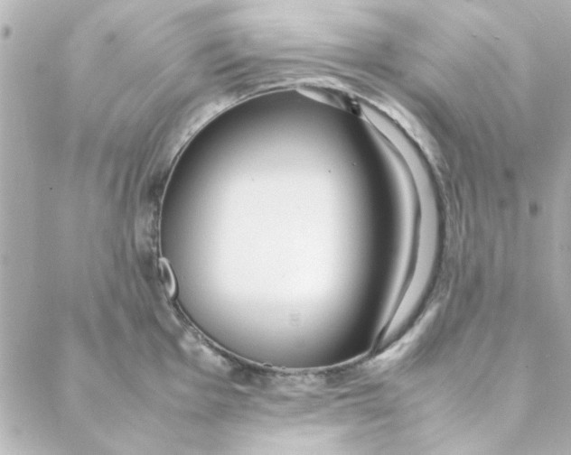 X0000088171001200706051112