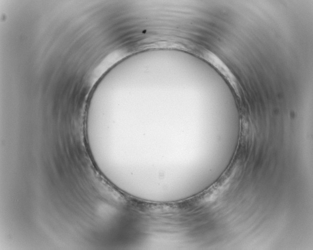 X0000088171002200706051112