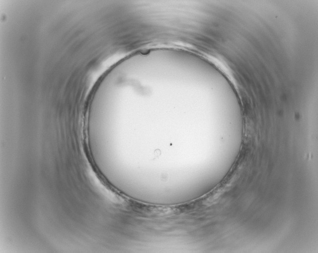 X0000088171003200706051112