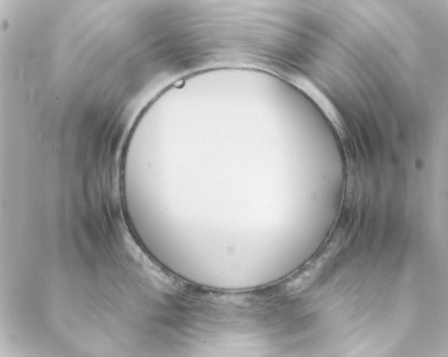 X0000088171004200706051112