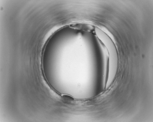 X0000088171005200706051112