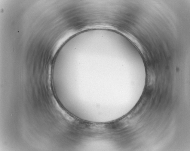 X0000088171006200706051112