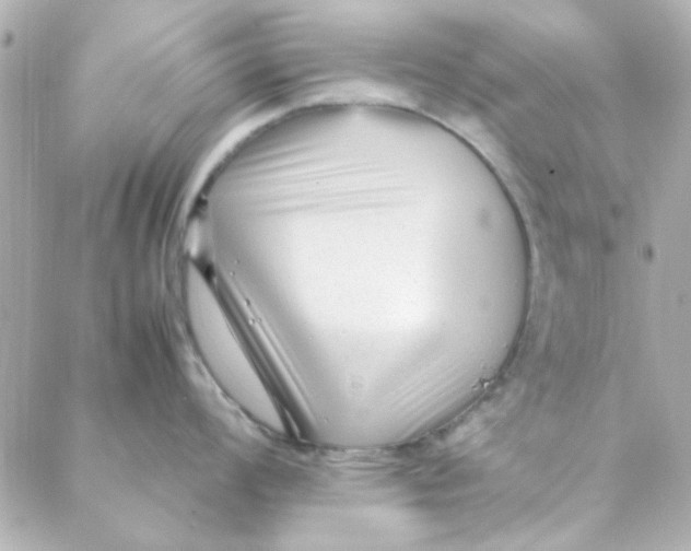 X0000088171008200706051112