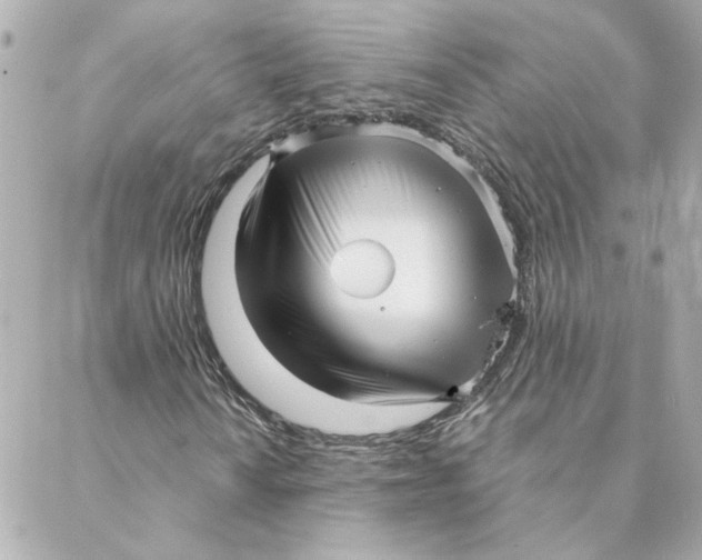 X0000088171010200706051111