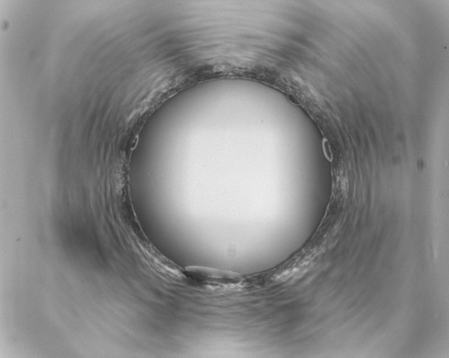 X0000088171012200706051111