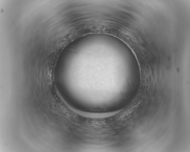 X0000088171013200706051111