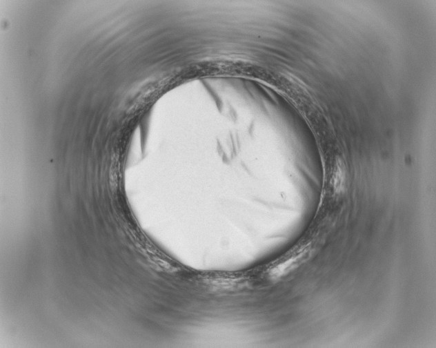 X0000088171014200706051111