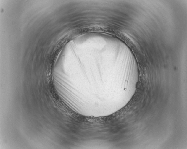 X0000088171015200706051111