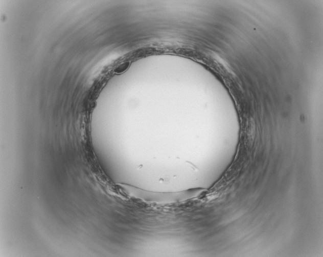 X0000088171016200706051111